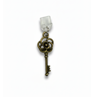 Rustic Brown Key Phone Charm Plug-In Accessory Chronic Rare Invisible Illness Awareness & Support
